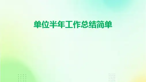 单位半年工作总结简单PPT