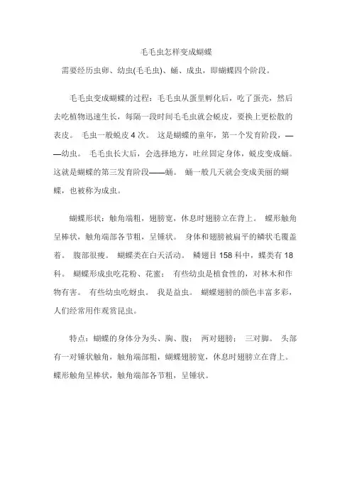 毛毛虫怎样变成蝴蝶