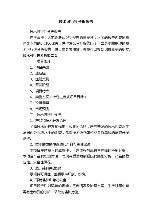 技术可行性分析报告