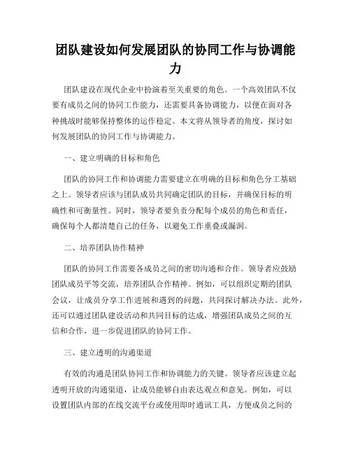 团队建设如何发展团队的协同工作与协调能力