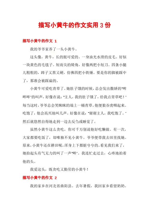 描写小黄牛的作文实用3份