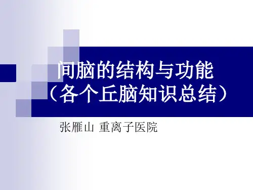 间脑的结构与功能(各个丘脑知识总结)