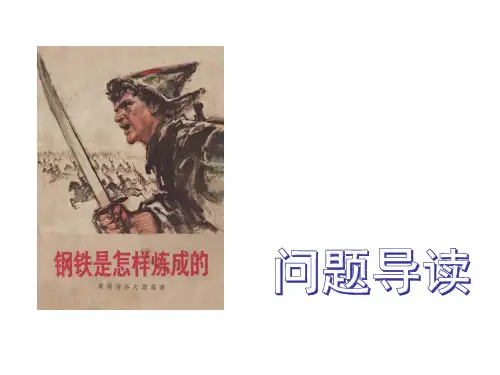 《钢铁是怎样炼成的》问题导读：第二部第一章《制止暴乱》