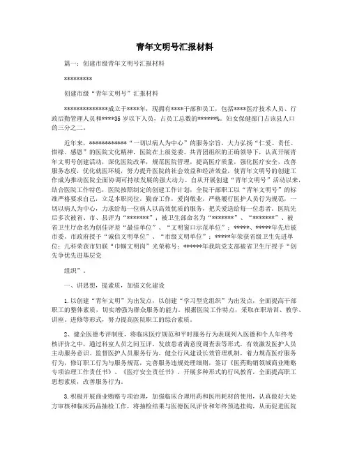 青年文明号汇报材料