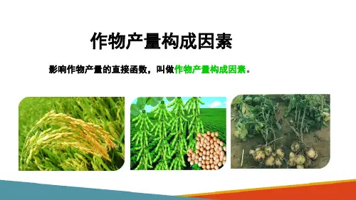 作物的产量与品质