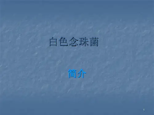 白色念珠菌