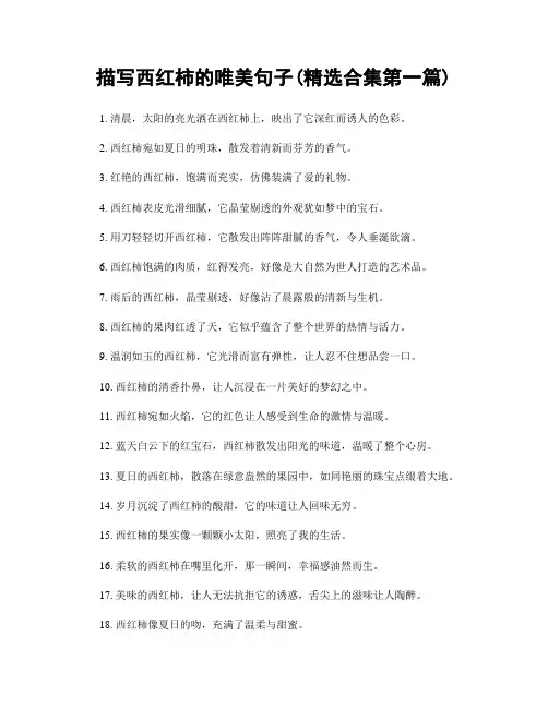 描写西红柿的唯美句子(精选合集两篇)