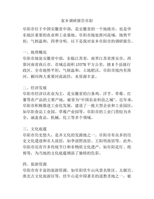 家乡调研报告阜阳