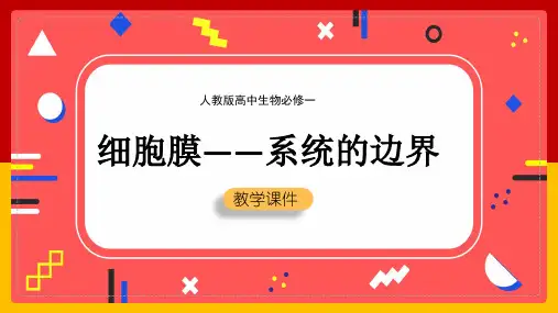高中生物人教版必修一《细胞膜系统的边界》教学课件