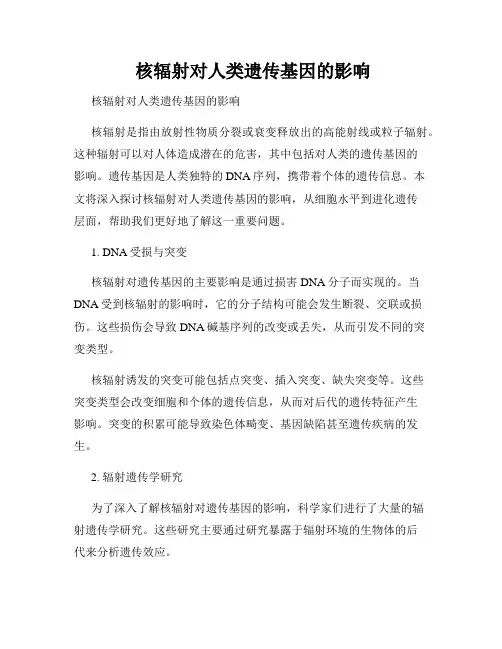  核辐射对人类遗传基因的影响