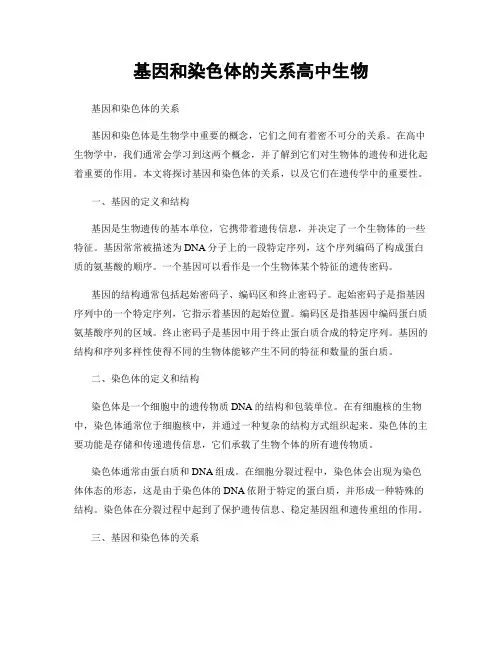 基因和染色体的关系高中生物