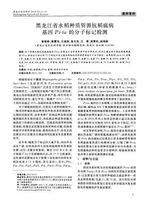 黑龙江省水稻种质资源抗稻瘟病基因Pi-ta的分子标记检测