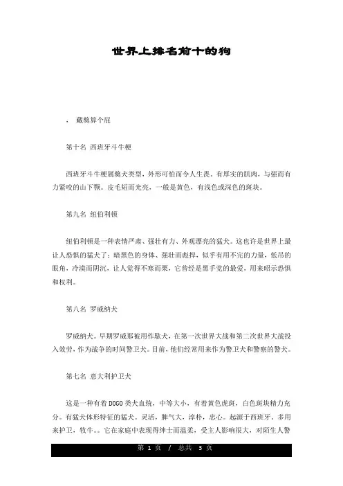 世界上排名前十的狗汇总