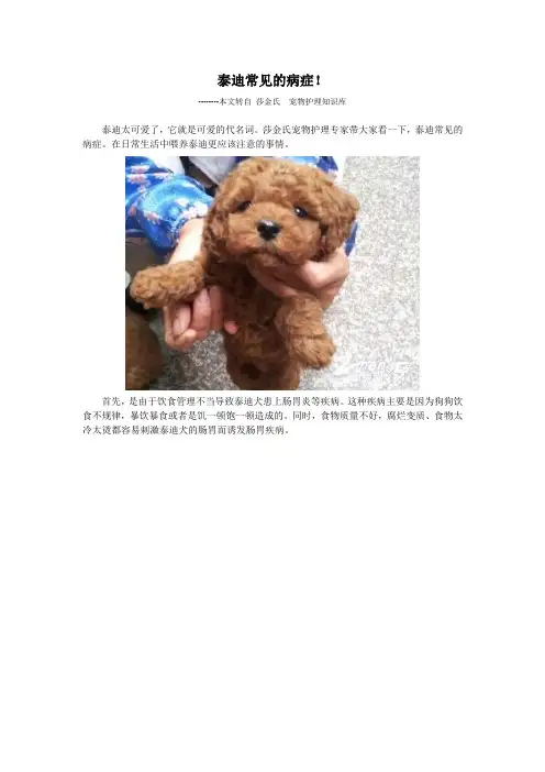 泰迪常见的病症!