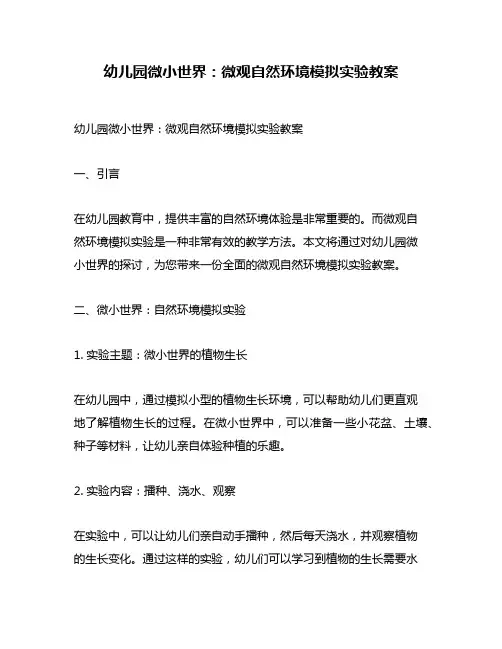 幼儿园微小世界：微观自然环境模拟实验教案