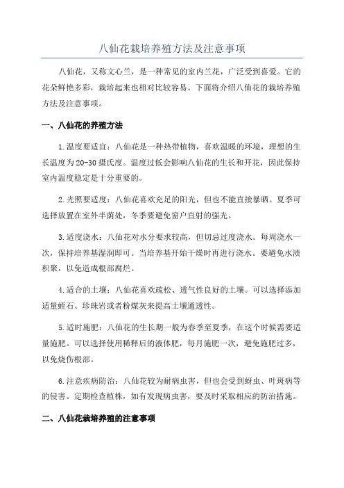 八仙花栽培养殖方法及注意事项