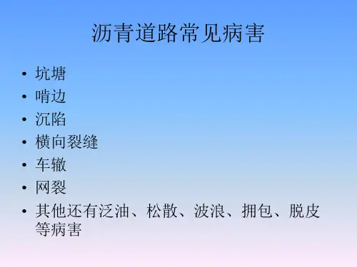 道路常见病害