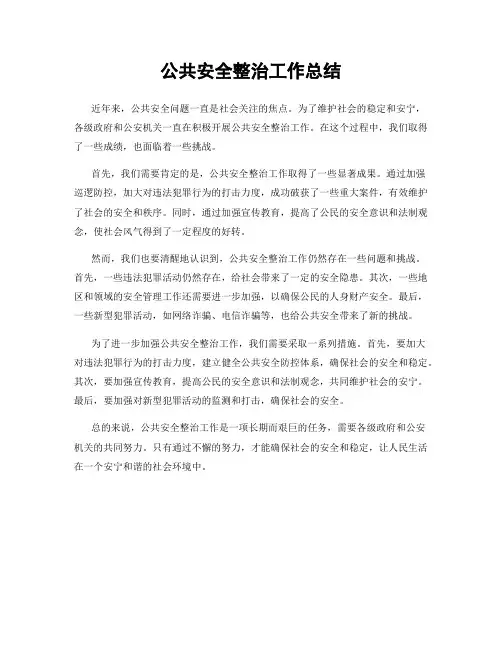 公共安全整治工作总结