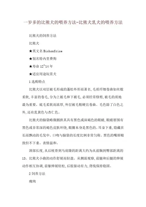 一岁多的比熊犬的喂养方法-比熊犬乳犬的喂养方法