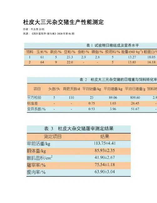 杜皮大三元杂交猪生产性能测定