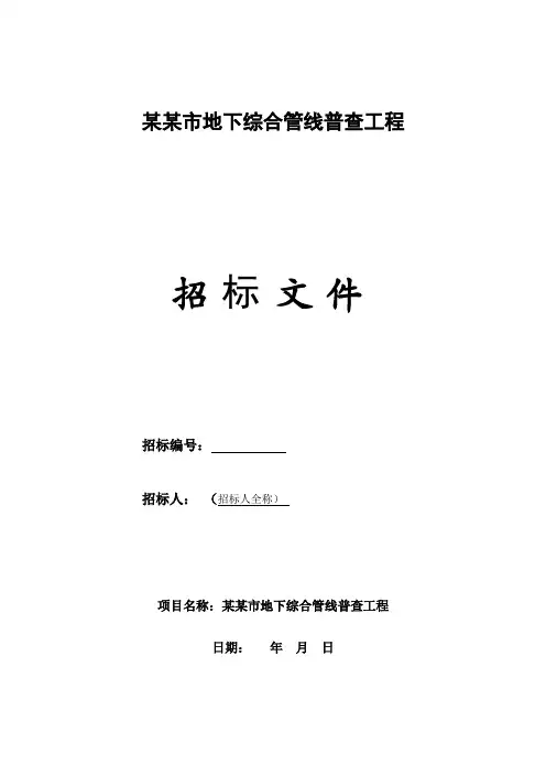 综合管网普查工程招标文件