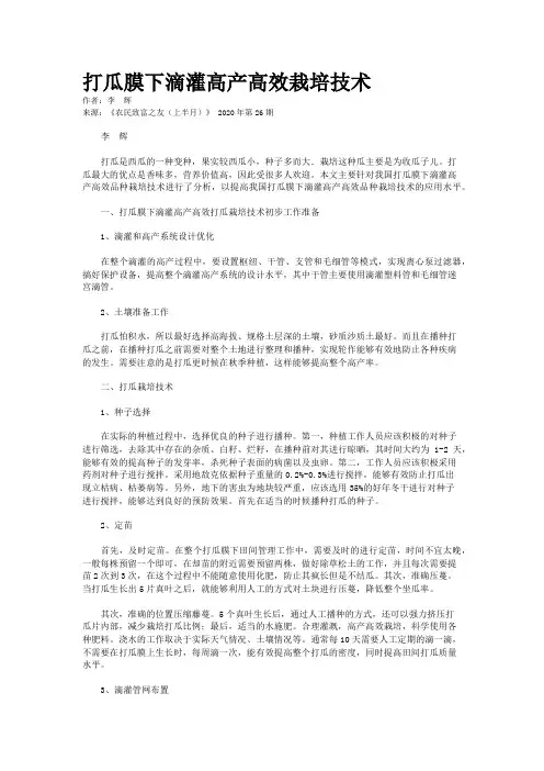 打瓜膜下滴灌高产高效栽培技术