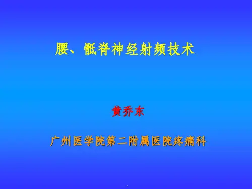 腰骶神经根射频技术ppt课件