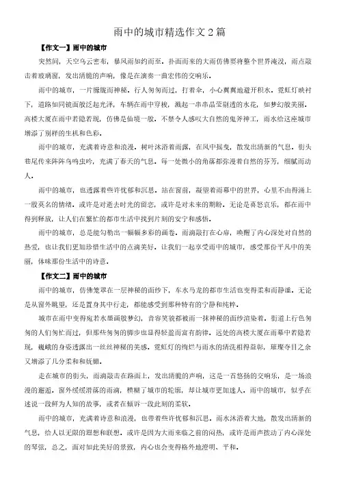雨中的城市 精选作文2篇