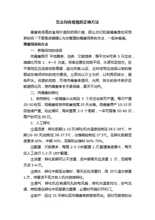 怎么饲养鸳鸯的正确方法