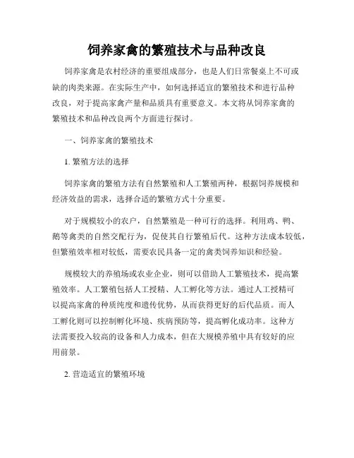 饲养家禽的繁殖技术与品种改良