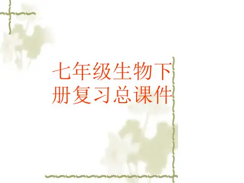 人教版七年级下册生物总复习课件