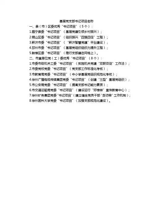 基层党支部书记项目名称