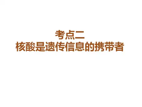 高三生物第一轮复习：核酸 课件