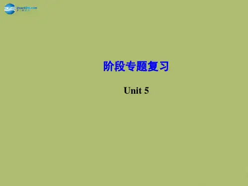 Unit_5_What_were_you_doing_when_the_rainstorm_came阶段专题复习课件_(新版)人教新目标版