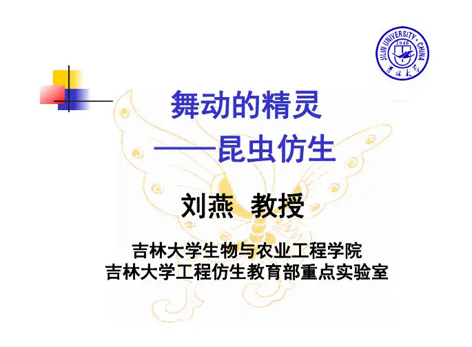 昆虫仿生(第七章)