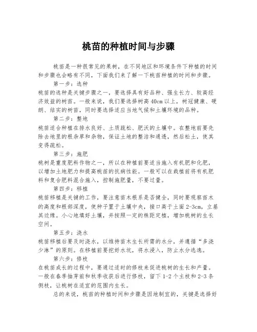桃苗的种植时间与步骤