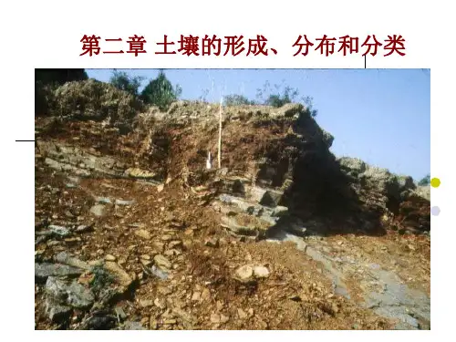 第二章 土壤的形成、分类与分布