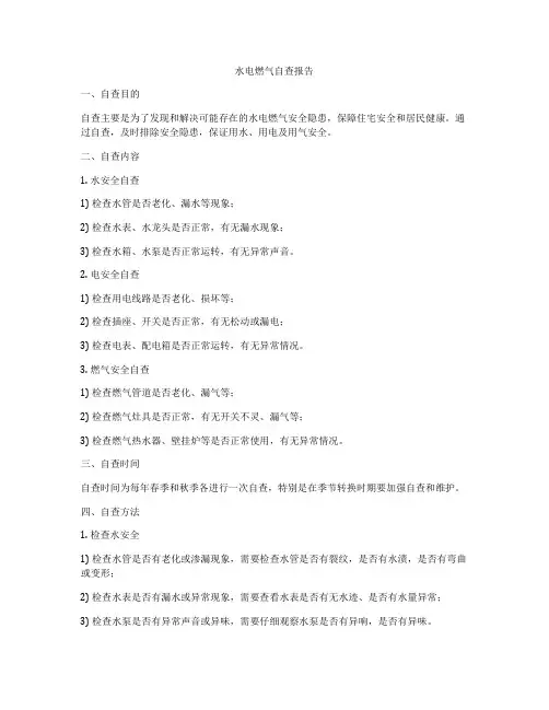 水电燃气自查报告