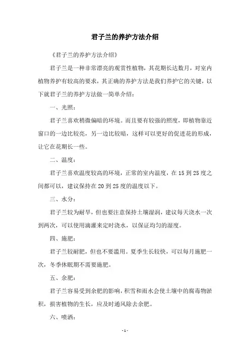 君子兰的养护方法介绍