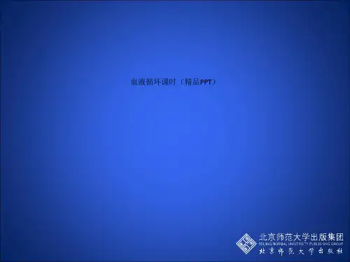 血液循环课时(精品PPT)