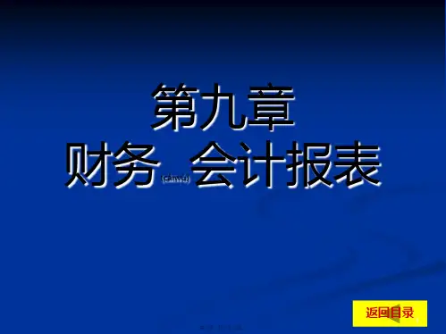 (ppt版)9章财务会计报表及会计工作组织管理