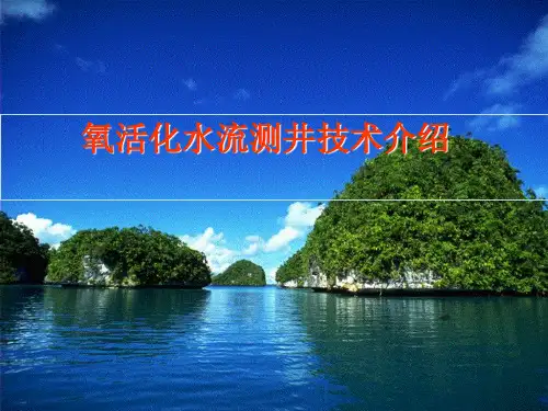 氧活化水流测井技术资料