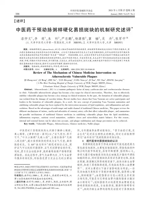中医药干预动脉粥样硬化易损斑块的机制研究述评