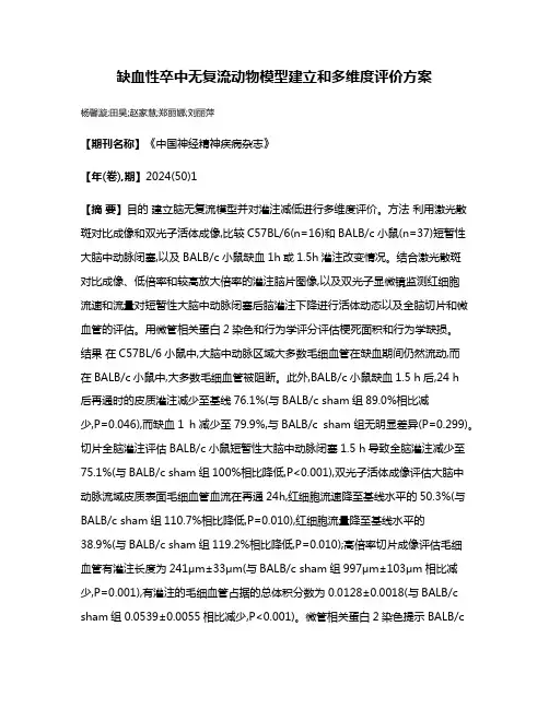 缺血性卒中无复流动物模型建立和多维度评价方案