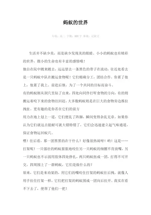 蚂蚁的世界500字作文