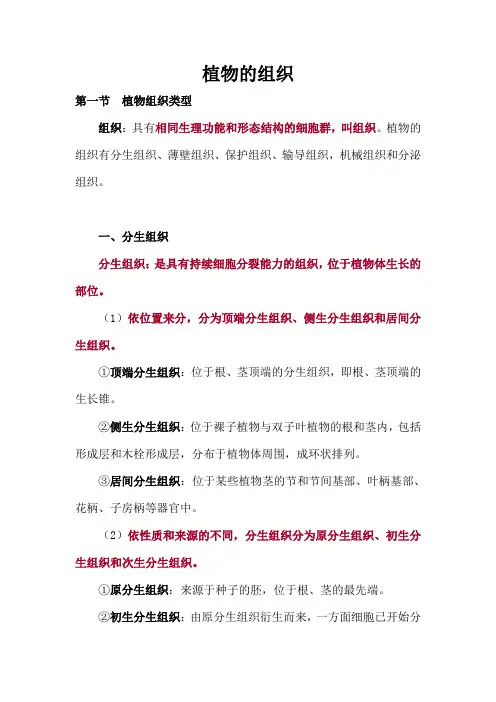 植物的组织