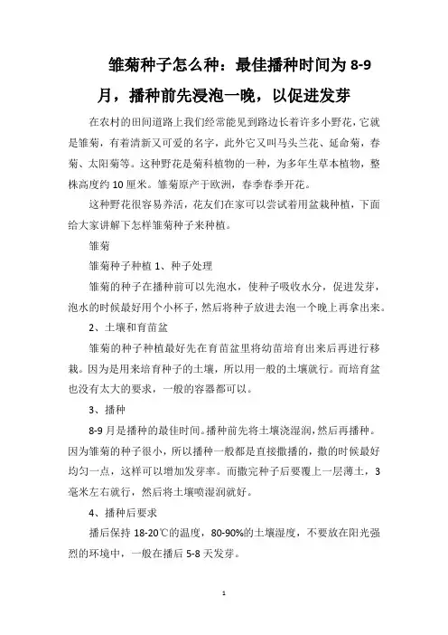 雏菊种子怎么种：最佳播种时间为8-9月,播种前先浸泡一晚,以促进发芽