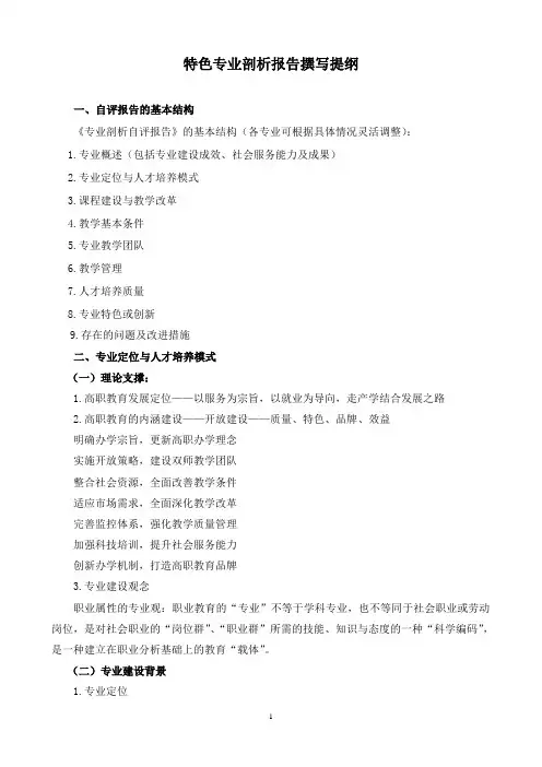 专业剖析自评报告