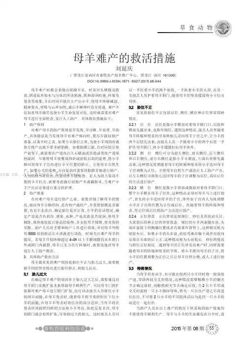 母羊难产的救活措施