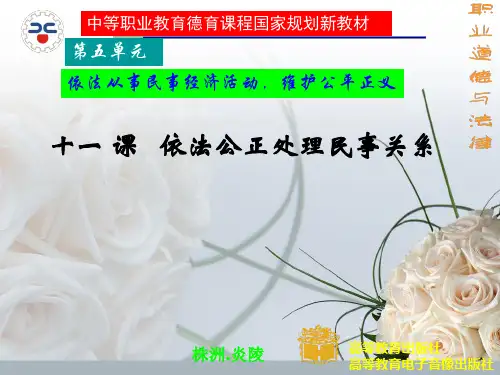 职业道德与法律第11课公正处理民事关系.pptx